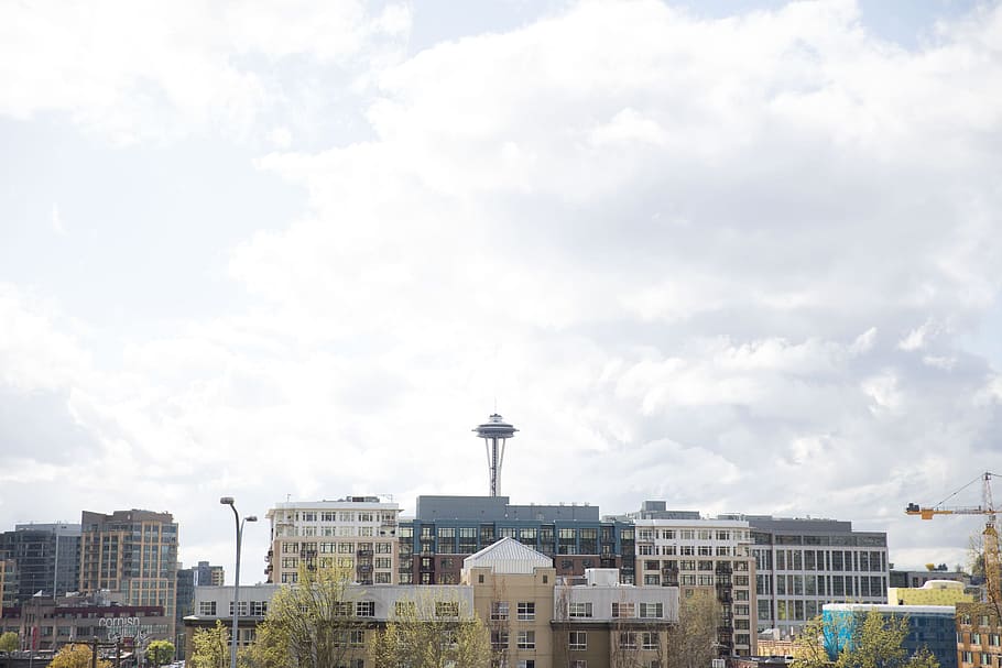 panoramico, vista, ago spaziale, torre di osservazione, Seattle, Washington, architettura, paesaggio urbano, nube, nuvoloso, osservatorio, ufficio, cielo, orizzonte, grattacielo, Torre, Stati Uniti d'America, edifici, città, centro, punto di riferimento, metropoli, moderno, panorama, centro di Seattle, ristorante skycity, viaggio, esterno dell'edificio, struttura costruita, nuvola - cielo, costruzione, nessuno, giorno, destinazioni di viaggio, natura, vita di città, quartiere residenziale, all'aperto, turismo, industria, edificio per uffici esterno, appartamento, 2K
