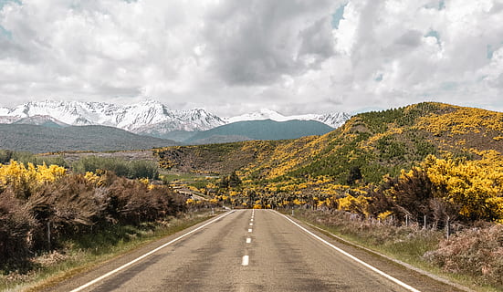 carretera buida, carretera, manera, asfalt, Nova Zelanda, parc nacional fiordland, naturalesa, sol, muntanyes, paisatge, flors, núvols, conduir, groc, a l'aire lliure, Serra, muntanya, promontori, roba, direcció, el camí a seguir, transport, cel, arbre, tardor, bellesa a la natura, planta, medi ambient, núvol - cel, escenics - natura, perspectiva decreixent, cap gent, símbol, tranquil·litat, marcatge de carreteres, canvi, muntanya nevada, línia divisòria, 4K, CC0, domini públic, lliure de regalies