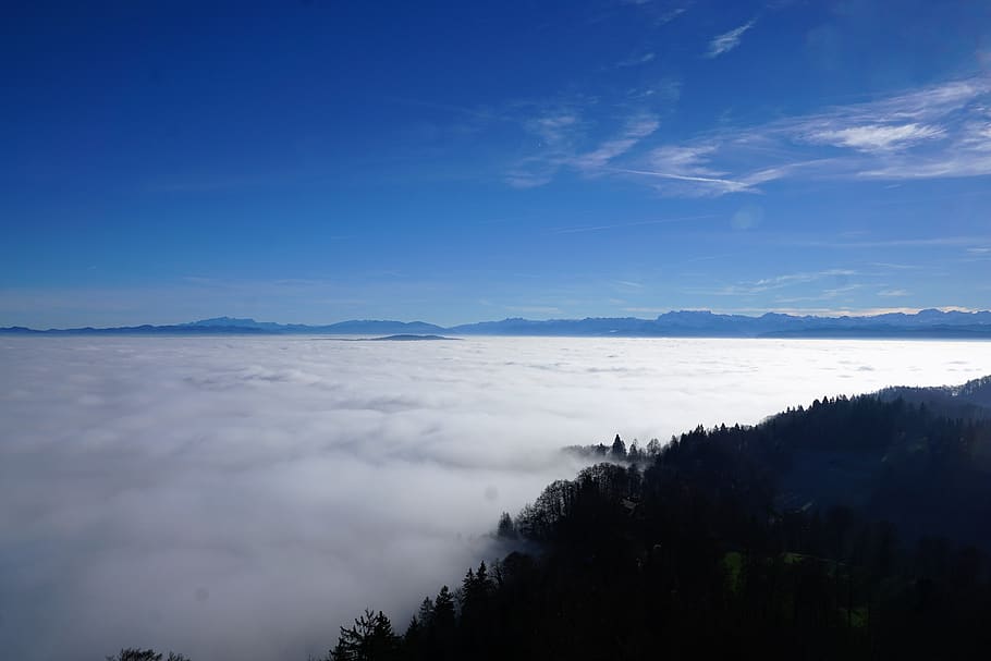 valkoinen, fogs, ruoho, pilviä, cloudscape, vuori, luonto, luonnonkaunis, pilvien meri, taivas, maisemat - luonto, pilvi - taivas, kauneus luonnossa, tyyneys, rauhallinen kohtaus, puu, kasvi, sininen, ei ihmisiä, ei-kaupunkikuvia, idyllinen, päivä, ympäristö, ulkona, maisema, siluetti, 5K