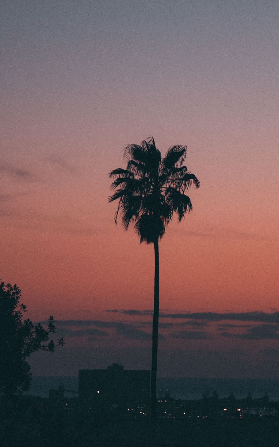 foto de la silueta, palmeres, alba, resplendor, retroil·luminat, núvols, arbre de coco, fosc, vespre, a l'aire lliure, palmell, Palmera, silueta, cel, sortida del sol, posta de sol, arbre, clima tropical, bellesa a la natura, planta, escenics - natura, tranquil·litat, escena tranquil·la, naturalesa, color taronja, cap gent, núvol - cel, creixement, arquitectura, exterior de l'edifici, estructura construïda, palmera de coco, cel romàntic, arbre tropical, 2K