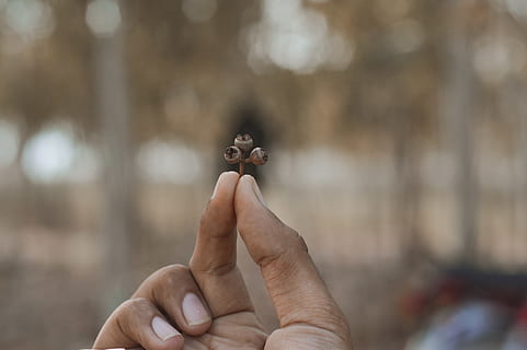 pakistan, mà humana, mà, part del cos humà, una persona, part del cos, dit, centrar-se en primer pla, dit humà, celebració, persones reals, perspectiva personal, persona irreconeixible, dia, primer pla, a l'aire lliure, estils de vida, mostrant, activitat d'oci, homes, extremitat humana, agressió, 4K, CC0, domini públic, lliure de regalies