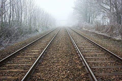prázdný, kolejnice, les, dráha, železniční dopravy, železniční trať, cesta vpřed, strom, perspektiva, rostlina, směr, mlha, přeprava, nikdo, bod zmizení, Příroda, holý strom, den, přistát, venku, paralelní, klid, štěrk, dlouho, 8K, CC0, veřejná doména, bez autorských práv
