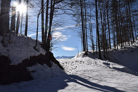 hora, summitu, hory, krajina, vysokohorský, Příroda, horolezectví, panoráma, skvělý, sníh, nebe, horolezec, scénický, bavaria, herzogstand, Studený, zimní, studená teplota, strom, slunečního světla, krása v přírodě, klid, scenics - příroda, klidné scény, zasněžené hory, zamrzlý, přistát, den, slunce, rostlina, životní prostředí, odlesk objektivu, nikdo, venku, Jasný, 5K, CC0, veřejná doména, bez autorských práv