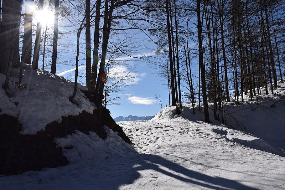 muntanya, cim, muntanyes, paisatge, alpí, naturalesa, alpinisme, panorama, genial, neu, cel, alpinista, escènic, baviera, herzogstand, fred, hivern, temperatura de fred, arbre, llum solar, bellesa a la natura, tranquil·litat, escenics - natura, escena tranquil·la, muntanya nevada, congelat, terra, dia, sol, planta, medi ambient, flare de la lent, cap gent, a l'aire lliure, brillant, 5K