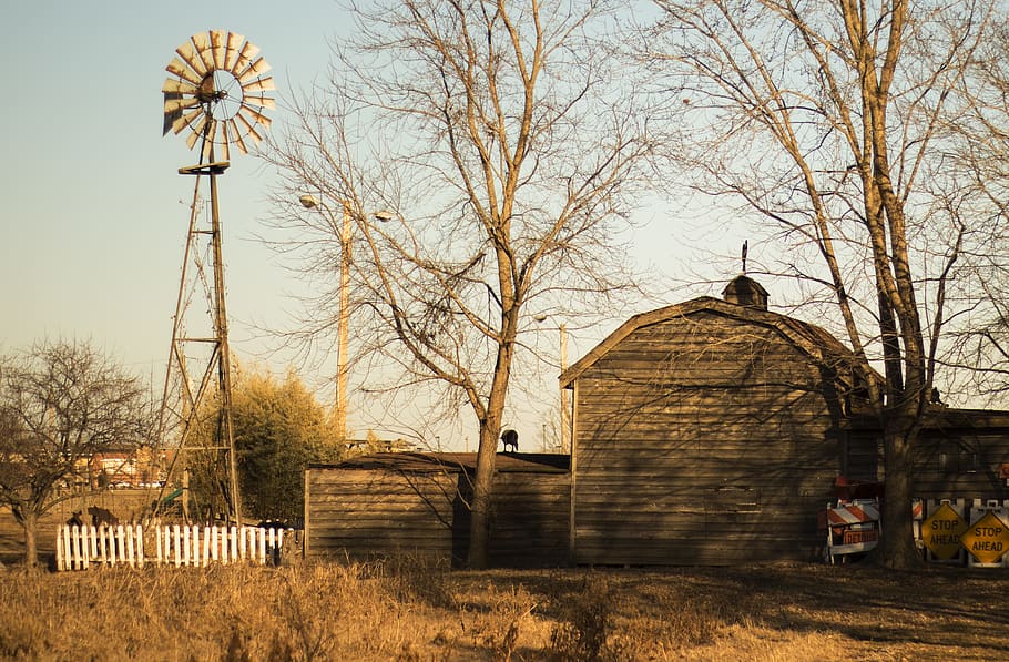 Bauernhof, Windmühle, Wind, rustikal, alt, Scheune, gebaute Struktur, Baum, die Architektur, Gebäudehülle, kahler Baum, Himmel, Pflanze, Natur, Gebäude, Religion, Anbetungsstätte, Feld, keine Leute, Land, Spiritualität, Tag, Glauben, draußen, 4K