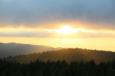 tramonto, natura, cielo, nuvole, foresta, solare, montagna, aria aperta, scenics - natura, scena tranquilla, bellezza nella natura, la tranquillità, albero, scena non urbana, ambiente, nessuno, pianta, silhouette, idilliaco, nuvola - cielo, nebbia, sole, albero di conifere, picco di montagna, 5K, CC0, dominio pubblico, privo di copyright
