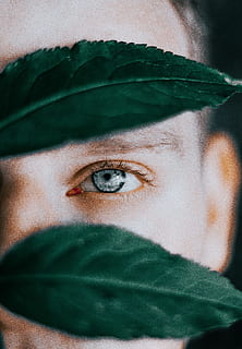 frunze verzi, față, ochi, frunze, verde, caucazian, vedere, a închide, artist, artă, culoare, natură, fotografie, macro, femei, umane, oameni, o persoana, etnie caucaziană, femele, portret, frumuseţe, adult, tânăr adult, frumos, ochiul uman, in cautarea, privind camera, imagine color, Culoarea verde, toamnă, femei tinere, doar o femeie, 4K, CC0, domeniu public, fără drepturi de autor