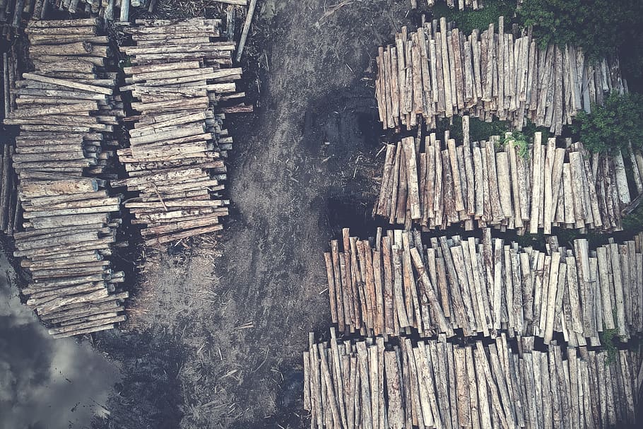 aèria, fotografia, marró, log lot, la llum del dia, medi ambient, llenya, herba, paisatge, naturalesa, escènic, vista superior, fusta, gran grup d'objectes, material de fusta, cap gent, abundància, arranjament, dia, bosc, pila, desforestació, registre, indústria de la fusta, vista d’angle alt, patró, arbre, a l'aire lliure, vell, tauler, 4K