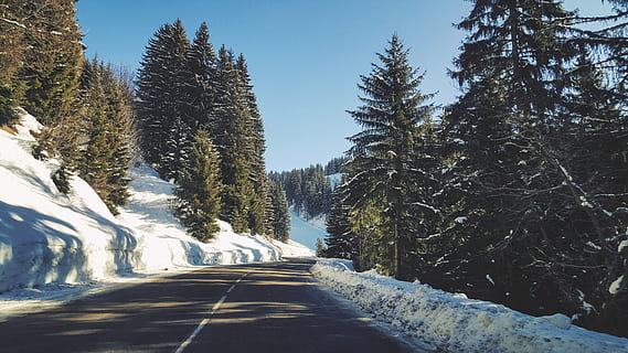 gris, carretera, arbres, França, arbre, neu, arâches-la-frasse, Flaine, naturalesa, muntanya, a l'aire lliure, bosc, Alps, conífera, planta, flora, hivern, viatge de carretera, cel blau, perspectiva, fred, el camí a seguir, transport, direcció, bellesa a la natura, temperatura de fred, dia, escenics - natura, cel, cap gent, creixement, carretera buida, terra, perspectiva decreixent, carretera de muntanya, pi, 5K, CC0, domini públic, lliure de regalies
