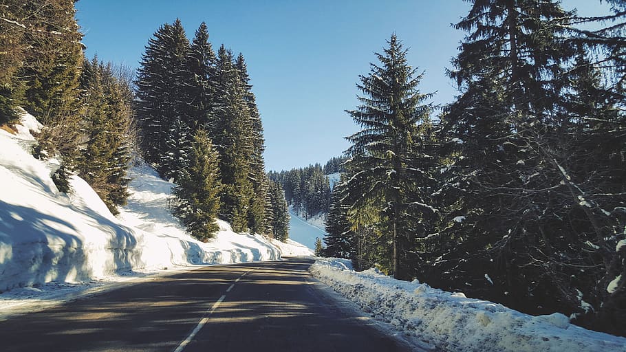 gris, carretera, arbres, França, arbre, neu, arâches-la-frasse, Flaine, naturalesa, muntanya, a l'aire lliure, bosc, Alps, conífera, planta, flora, hivern, viatge de carretera, cel blau, perspectiva, fred, el camí a seguir, transport, direcció, bellesa a la natura, temperatura de fred, dia, escenics - natura, cel, cap gent, creixement, carretera buida, terra, perspectiva decreixent, carretera de muntanya, pi, 5K