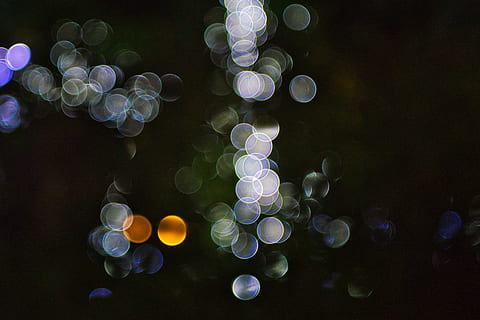 assortit, lot de contenidors de plàstic de color, bombolla, esfera, patró, llum, ornament, fractal, flamarada, bokeh, gràfics, art, disseny floral, menjar, condiment, verd, invertebrat, la vida marina, animal, meduses, textura, applique, cap gent, forma, naturalesa, primer pla, defocated, cercle, resum, brillant, il·luminat, forma geomètrica, aigua, gran grup d'objectes, flare de la lent, fons negre, disseny, a l'aire lliure, multicolor, moviment, marí, porpra, 5K, CC0, domini públic, lliure de regalies