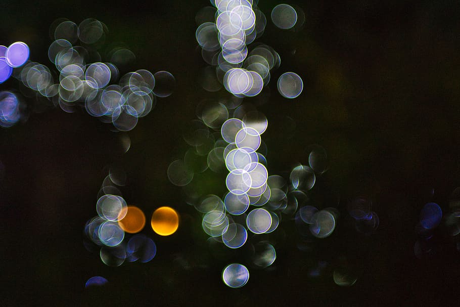 assortit, lot de contenidors de plàstic de color, bombolla, esfera, patró, llum, ornament, fractal, flamarada, bokeh, gràfics, art, disseny floral, menjar, condiment, verd, invertebrat, la vida marina, animal, meduses, textura, applique, cap gent, forma, naturalesa, primer pla, defocated, cercle, resum, brillant, il·luminat, forma geomètrica, aigua, gran grup d'objectes, flare de la lent, fons negre, disseny, a l'aire lliure, multicolor, moviment, marí, porpra, 5K