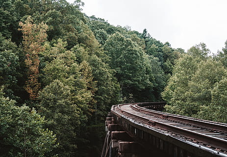 Zug, Bäume, Wald, Eisenbahn, Brücke, fallen, Sonnenuntergang, Abenteuer, Schienen, Baum, Pflanze, Wachstum, Natur, Schienenverkehr, grüne Farbe, gebaute Struktur, die Architektur, Verbindung, Tag, keine Leute, Transport, Spur, Brücke - künstliche Struktur, Bahngleis, Himmel, üppiges Laub, Laub, draußen, 4K, CC0, gemeinfrei, lizenzfrei