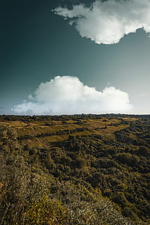 alto, fotografia ad angolo, verde, leafed, alberi, campo d'erba, nuvole, alba, autunno, campo, collina, paesaggio, luce, montagna, all'aperto, panoramico, tramonto, viaggio, boschi, cielo, nuvola - cielo, scena tranquilla, la tranquillità, ambiente, bellezza nella natura, scenics - natura, natura, nessuno, terra, scena non urbana, giorno, pianta, idilliaco, luce del sole, erba, a distanza, 5K, CC0, dominio pubblico, privo di copyright