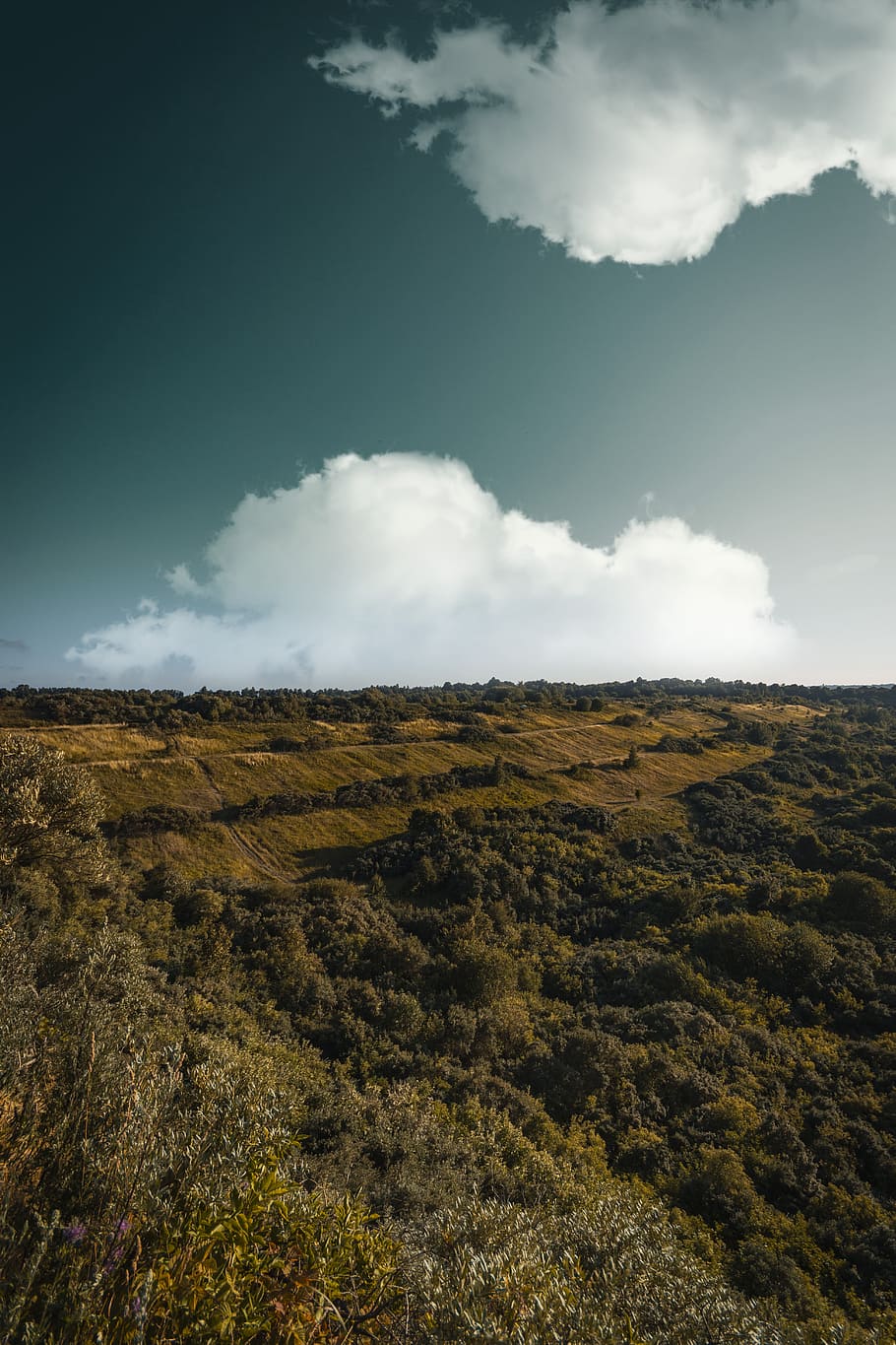 alto, fotografia ad angolo, verde, leafed, alberi, campo d'erba, nuvole, alba, autunno, campo, collina, paesaggio, luce, montagna, all'aperto, panoramico, tramonto, viaggio, boschi, cielo, nuvola - cielo, scena tranquilla, la tranquillità, ambiente, bellezza nella natura, scenics - natura, natura, nessuno, terra, scena non urbana, giorno, pianta, idilliaco, luce del sole, erba, a distanza, 5K