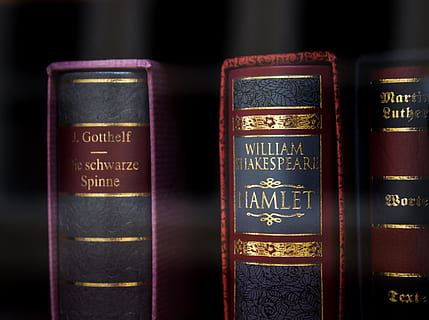Bücher mit verschiedenen Titeln, Buch, Getränk, Alkohol, Wein, Flasche, Rotwein, Gold, Whiskey, Goethe, rot, Weiler, Spinne, Blau, Shakespeare, Wilhelm, Bücher, Mini, Veröffentlichung, Text, Bibliothek, Bildung, Regal, drinnen, Lernen, keine Leute, Bücherregal, westliche Schrift, Nahansicht, Antiquität, Gesetz, Kommunikation, Weisheit, lesen, die Architektur, Wissenschaft, gebundenes Buch, studieren, Leder, 4K, CC0, gemeinfrei, lizenzfrei