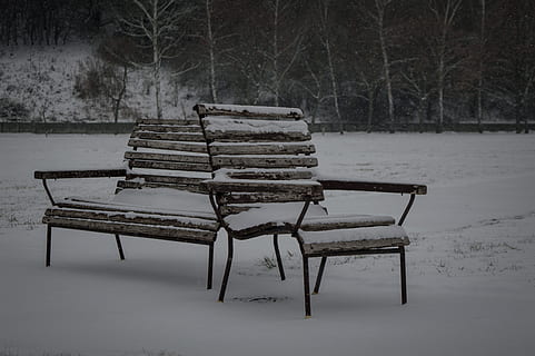 lavice, sníh, winte, sama, Studený, mráz, osamělý, zamrzlý, venkovní, dřevo, banka, park, relaxovat, odpočinek, sedadlo, romantický, nebe, stromy, studená teplota, zimní, strom, prázdný, dřevo - materiál, absence, nikdo, Příroda, klid, Lavička v parku, přistát, krása v přírodě, pole, den, rostlina, venku, 4K, CC0, veřejná doména, bez autorských práv