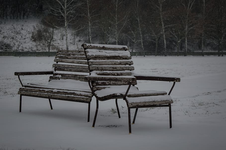 lavice, sníh, winte, sama, Studený, mráz, osamělý, zamrzlý, venkovní, dřevo, banka, park, relaxovat, odpočinek, sedadlo, romantický, nebe, stromy, studená teplota, zimní, strom, prázdný, dřevo - materiál, absence, nikdo, Příroda, klid, Lavička v parku, přistát, krása v přírodě, pole, den, rostlina, venku, 4K