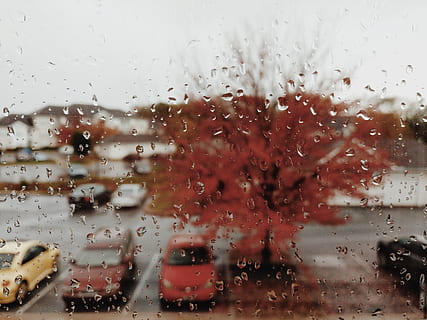 regen, boom, parkeren, laten vallen, nat, glas - materiaal, transparant, water, venster, regenseizoen, vervoer, wijze van transport, geen mensen, natuur, voertuig interieur, regendruppel, volledig kader, binnenshuis, hemel, glas, 4K, CC0, publiek domein, royaltyvrij