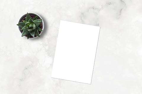 marmor, mockup, flatlay, e-handel, blank, papir, keramisk, markedsføring, forretning, skrivebord, bord, hvidt ark, portefølje, butik, tegning, maleri, layout, digital kunst, digital, plakat, billede, blog, netværk, medier, online, kopiere plads, blad, plante del, hvid farve, stilleben, ingen mennesker, grøn farve, natur, indendørs, direkte over, høj vinkel visning, studio skud, plante, mad, mad og drikke, friskhed, tæt på, 4K, CC0, offentligt domæne, royaltyfrie