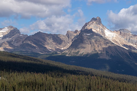 Canada, Mount Schaffer, bjerg, Skov, gletscher, scenics - natur, skønhed i naturen, sky - himmel, himmel, bjergkæde, rolig scene, miljø, ro, landskab, ikke-urbane scene, plante, natur, jord, ingen mennesker, træ, fjern, idyllisk, dag, grøn farve, udendørs, bjergtop, formation, fyrretræ, nåletræ, bjergrygge, 5K, CC0, offentligt domæne, royaltyfrie