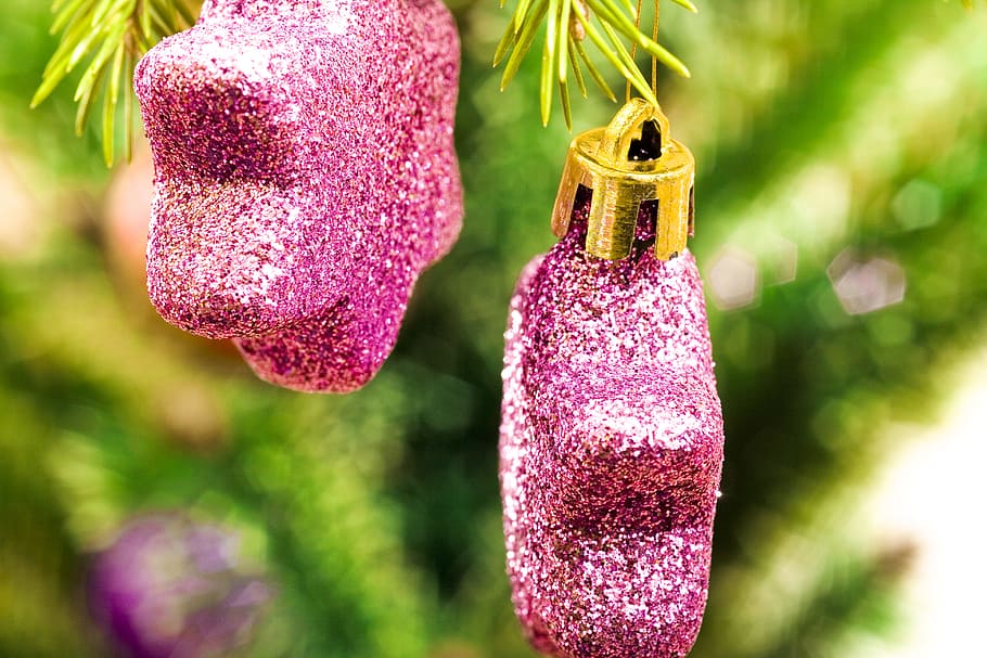 Hintergrund, Ball, Flitter, Blau, verwischen, hell, Feier, Weihnachten, Weihnachtsbaum, Farbe, Nadelbaum, Nadelholz, Dekor, Dekoration, Tanne, Geschenk, Gold, hängend, Urlaub, Bild, Ornament, Kiefer, Nahansicht, Pflanze, Blume, blühende Pflanze, lila, Fokus auf den Vordergrund, keine Leute, Natur, Frische, wirbellos, Schönheit in der Natur, Wachstum, Insekt, Makro, draußen, Tag, pinke Farbe, extreme Nahaufnahme, Tierwelt, Tierflügel, Blütenkopf, klein, 4K