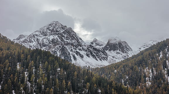 núvols, fred, conífera, alba, la llum del dia, de fulla perenne, bosc, glacera, gel, paisatge, cim de muntanya, muntanyes, naturalesa, a l'aire lliure, rocós, escènic, neu, viatjar, arbre, arbres, temps, hivern, fusta, boscos, muntanya, temperatura de fred, bellesa a la natura, escenics - natura, planta, cel, medi ambient, núvol - cel, escena tranquil·la, tranquil·litat, muntanya nevada, arbre de coníferes, terra, pi, Serra, cap gent, bosc de pi, formació, 5K, CC0, domini públic, lliure de regalies