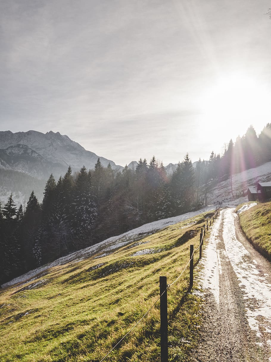 vej og træer, flare, lys, hældning, træ, plante, abies, gran, sollys, Tyskland, Garmisch-Partenkirchen, udendørs, vej, natur, nåletræ, asfalt, bjerg, jord, bjergkæde, grus, skønhed i naturen, himmel, ro, rolig scene, scenics - natur, landskab, miljø, græs, ikke-urbane scene, ingen mennesker, Mark, barriere, grænse, sol, 4K