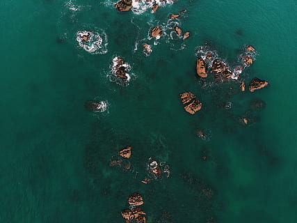 bruine rotsformaties, water, zee, natuur, hoge hoekmening, turkoois gekleurd, rots, scenics - natuur, dag, rock - object, solide, buitenshuis, schoonheid in de natuur, luchtfoto, kalmte, geen mensen, land-, groene kleur, 4K, CC0, publiek domein, royaltyvrij