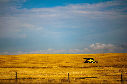 alberta, traktor, pole, pšenice, kanadský, Kanada, mrak - nebe, nebe, krajina, životní prostředí, přistát, krása v přírodě, scenics - příroda, venkovské scény, zemědělství, klidné scény, žlutá, Příroda, klid, rostlina, nikdo, hospodařit, den, mimoměstské scény, horizont, venku, 4K, CC0, veřejná doména, bez autorských práv
