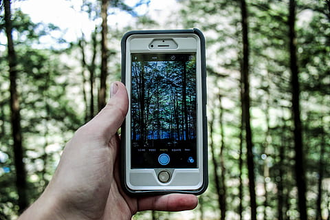 la personne, en portant, argent iphone 6, caméra, forêt, main, iphone, macro, la nature, la photographie, téléphone intelligent, étui smartphone, prendre une photo, La technologie, des arbres, Technologie sans fil, la communication, téléphone portable, dispositif d'information portable, main humaine, arbre, thèmes de la photographie, lien, photographier, se concentrer sur le premier plan, partie du corps humain, Téléphone, une personne, en utilisant le téléphone, écran, en plein air, des bois, doigt, 5K, CC0, domaine public, libre de droits