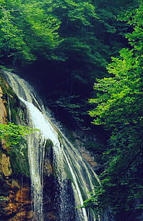 chutes d'eau à côté des arbres, Cascade, lumière du jour, environnement, couler, forêt, paysage, mousse, mouvement, Montagne, la nature, roches, scénique, été, laps de temps, des arbres, eau, cascades, sauvage, les bois, arbre, paysages - nature, beauté dans la nature, plante, longue exposition, eau qui coule, terre, mouvement flou, personne, feuillage, couleur verte, feuillage luxuriant, croissance, journée, écoulement, en plein air, forêt tropicale, pouvoir dans la nature, chute d'eau, 4K, CC0, domaine public, libre de droits