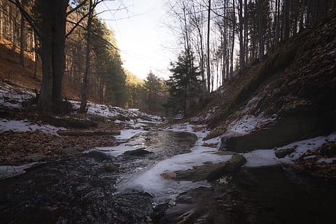 hielo, camino forestal, frío, luz, ambiente, bosque, gusto, escarcha, escarchado, congelado, paisaje, larga exposición, montaña, naturaleza, parque, rocas, escénico, temporada, cielo, nieve, Nevado, corriente, lapso de tiempo, arboles, agua, clima, invierno, árbol, planta, belleza en la naturaleza, paisajes - naturaleza, tranquilidad, tierra, agua que fluye, nadie, escena tranquila, descargando, día, corriente - agua que fluye, escena no urbana, rock, fluido, al aire libre, 5K, CC0, dominio público, libre de derechos