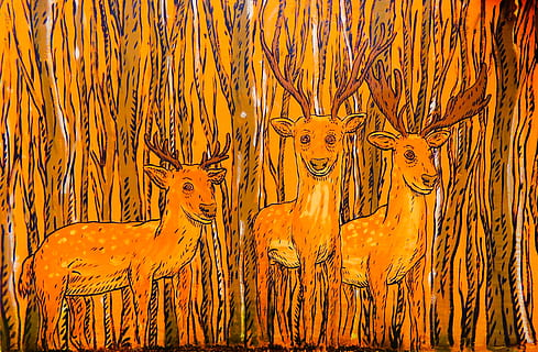 graffiti, paret, model, bosc, arbre, guaret, artistes, pintura, esprai, imatges, cultura, l'art de, animals, naturalesa, a la cort de, primer pla, cervesa, color, bonic, viu, ciutat, grudziadz, Polònia, las rudnicki, cap gent, animal, temes d'animals, planta, mamífer, fauna animal, color taronja, dia, felí, gat, a l'aire lliure, animals a la natura, grup d’animals, terra, groc, marc complet, gat gran, marró, 4K, CC0, domini públic, lliure de regalies