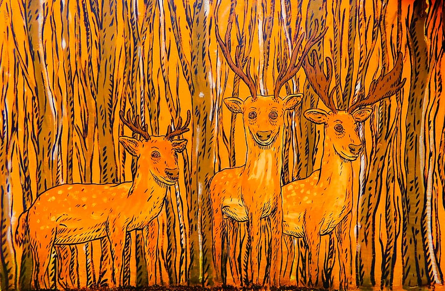 graffiti, paret, model, bosc, arbre, guaret, artistes, pintura, esprai, imatges, cultura, l'art de, animals, naturalesa, a la cort de, primer pla, cervesa, color, bonic, viu, ciutat, grudziadz, Polònia, las rudnicki, cap gent, animal, temes d'animals, planta, mamífer, fauna animal, color taronja, dia, felí, gat, a l'aire lliure, animals a la natura, grup d’animals, terra, groc, marc complet, gat gran, marró, 4K