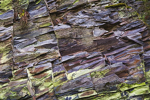 slate, rock, texture, pattern, nature, stone, background, wall, structure, geology, close up, still life, rau, surface, old, weathered, layer, grey, full frame, backgrounds, textured, no people, day, plant, tree, rough, wood - material, tree trunk, solid, trunk, close-up, low angle view, outdoors, wall - building feature, brown, stone wall, 5K, CC0, public domain, royalty free