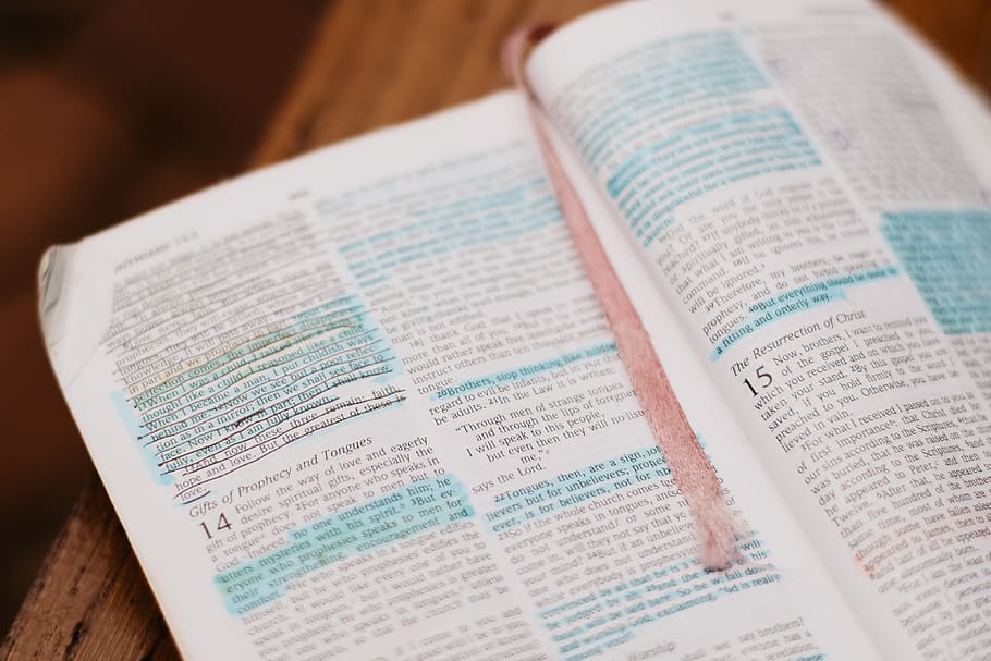 bible, záložka do knihy, vydání, rezervovat, papír, uvnitř, detail, text, vysoký úhel pohledu, nikdo, vzdělání, sdělení, západní skript, selektivní zaměření, stůl, stálý život, otevřeno, zaměřit se na popředí, literatura, moudrost, jídlo a pití, studovat, 4K