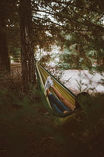 tree, grass, plant, leaf, fall, outdoor, relax, people, kids, girls, hammock, nature, land, forest, day, growth, tranquility, beauty in nature, no people, outdoors, non-urban scene, tree trunk, trunk, field, transportation, tranquil scene, nautical vessel, absence, 5K, CC0, public domain, royalty free