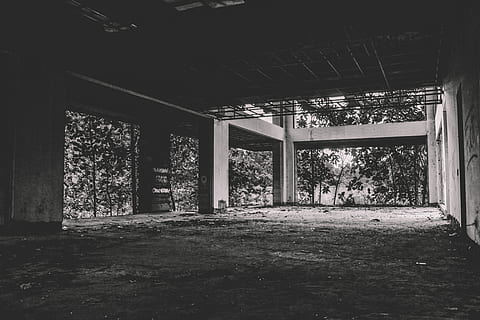 urbà, estructura construïda, arquitectura, arbre, a l'interior, dia, planta, cap gent, abandonat, columna arquitectònica, edifici, naturalesa, vell, buit, sostre, absència, creixement, casa, brutícia, 5K, CC0, domini públic, lliure de regalies