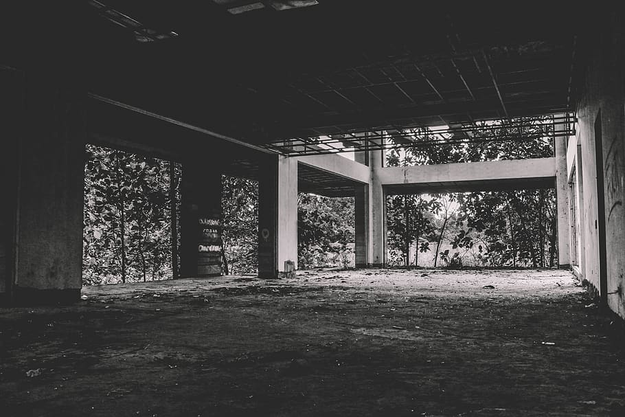 urbà, estructura construïda, arquitectura, arbre, a l'interior, dia, planta, cap gent, abandonat, columna arquitectònica, edifici, naturalesa, vell, buit, sostre, absència, creixement, casa, brutícia, 5K