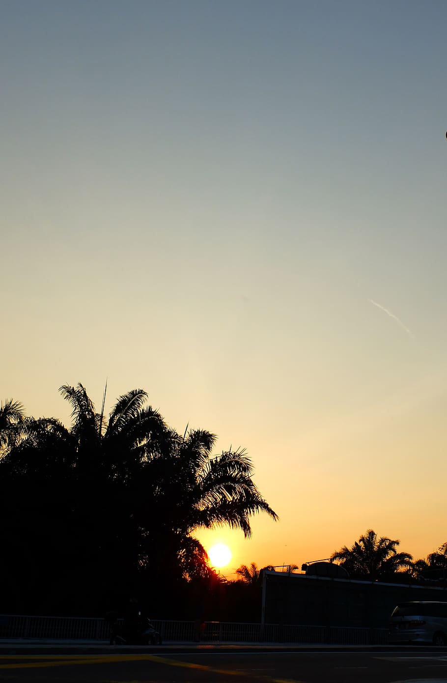 silueta, arbre de coco, retroil·luminat, platja, alba, tarda, paisatge, llum, minimalisme, naturalesa, escènic, cel, estiu, sol, posta de sol, arbres, aigua, arbre, planta, Palmera, clima tropical, bellesa a la natura, tranquil·litat, escenics - natura, cap gent, escena tranquil·la, cel clar, color taronja, a l'aire lliure, creixement, còpia espai, idíl·lic, llum solar, palmera de coco, 2K