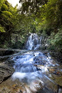 cascading, water, falls, woods, cascade, creek, environment, fall, flow, landscape, long exposure, motion, nature, outdoors, park, river, rocks, scenic, stream, travel, trees, waterfalls, wet, wild, tree, plant, beauty in nature, forest, scenics - nature, flowing water, rock, blurred motion, waterfall, land, solid, rock - object, flowing, no people, growth, power in nature, rainforest, stream - flowing water, 8K, CC0, public domain, royalty free