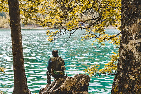 Foto, Mann, Sitzung, Rock, See, zurück, Rucksack, Backpacker, Geäst, Umgebung, Freizeit, Natur, Person, Erholung, Entspannung, Wellen, Landschaft, szenisch, sitzen, Stein, Baumrinde, Bäume, Urlaub, Wasser, Baum, Pflanze, echte Menschen, Baumstamm, Freizeitbeschäftigung, Kofferraum, Schönheit in der Natur, eine Person, Lebensstile, Rückansicht, Tag, Wachstum, Ast, Ruhe, draußen, Blick auf Ansicht, 4K, CC0, gemeinfrei, lizenzfrei