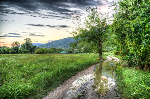 Baum, Pfad, hdr, nass, Wald, Bäume, Natur, Weg, Herbst, Landschaft, Wandern, Pflanze, Himmel, wolke - himmel, Ruhe, Schönheit in der Natur, ruhige Szene, Szenen - Natur, Wachstum, grüne Farbe, Land, Gras, keine Leute, Feld, Umgebung, Tag, Nicht-städtische Szene, Richtung, draußen, 5K, CC0, gemeinfrei, lizenzfrei