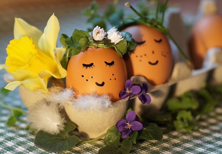 Pasqua, ous, decoració, primavera, hora de l’est, alegre, desitjar, shell, color, cara, personalitzat, hàbit, la tradició de, ous de Pasqua, inactiu, flor, planta amb flors, planta, celebració, menjar, cap gent, primer pla, frescor, naturalesa, menjar i beguda, fragilitat, vulnerabilitat, ou, representació, ou de Pasqua, art i artesania, centrar-se en primer pla, creativitat, cap de flor, 4K