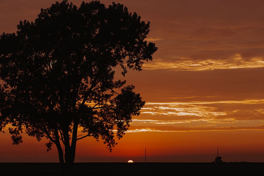 verd, fulles, arbres, posta de sol, cel, a l'aire lliure, naturalesa, sortida del sol, arbre, cel vermell, vespre, alba, planta, flora, roure, Estats Units, sullivan, paisatge, cloudscape, taronja, horitzó, silueta, bellesa a la natura, color taronja, escenics - natura, núvol - cel, tranquil·litat, cap gent, escena tranquil·la, idíl·lic, creixement, arquitectura, aigua, sol, escena no urbana, 5K