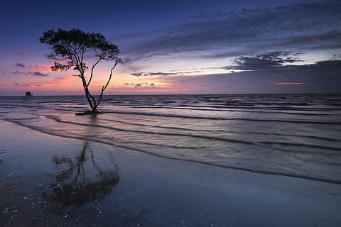 pohon, tubuh, air, pantai, awan, cloudscape, Fajar, senja, malam, horison, pemandangan, alam, samudra, di luar rumah, refleksi, pasir, indah, laut, pemandangan laut, pantai laut, bayangan hitam, langit, gambar langit, musim panas, matahari, matahari terbenam, perjalanan, keindahan di alam, awan - langit, scenics - alam, tanah, ketenangan, adegan yang tenang, menanam, warna oranye, tidak ada orang, cakrawala di atas air, 5K, CC0, domain publik, bebas royalti
