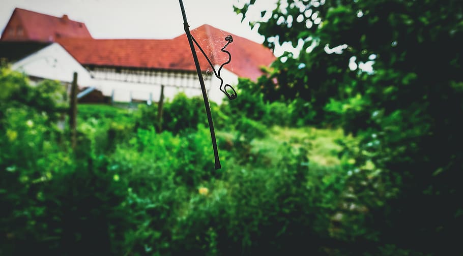 Deutschland, lich, eberstadt, Blatt, Spinnennetz, Ast, Fokus, Makro, Spinne, Grün, Dach, Pflanze, Baum, Fokus auf den Vordergrund, die Architektur, gebaute Struktur, grüne Farbe, Gebäudehülle, Wachstum, Natur, keine Leute, Tag, Gebäude, draußen, Haus, selektiver Fokus, hängend, Wohngegend, Land, 4K