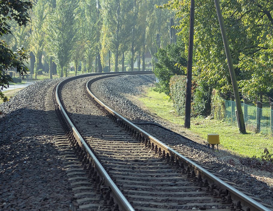 pistes, pista, rail, tren, transport, ferrocarril, ruta, pedres, acer, locomotora, arbre, transport per ferrocarril, vies del ferrocarril, planta, direcció, el camí a seguir, cap gent, naturalesa, terra, dia, creixement, perspectiva decreixent, bosc, tranquil·litat, escena tranquil·la, a l'aire lliure, corba, escena no urbana, grava, nivell superficial, paral·lel, llarg, 4K