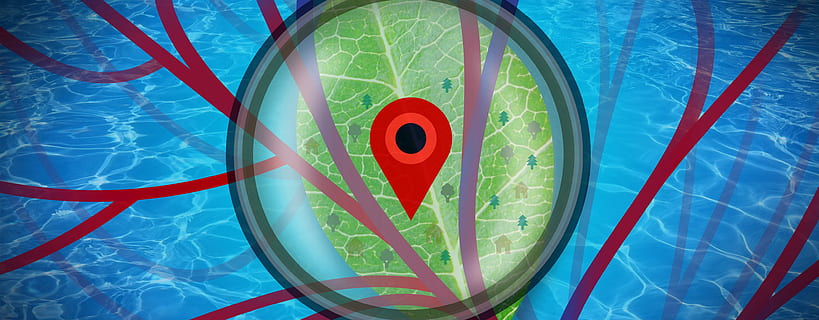 analysis, details, -, abstract, design, alternate, concept, marker, location, planning, village, nature, natural, branches, eye, analyzing, colorful, locale, place, place mark, gps, placemark, analytical, chart, collection, comparison, content, data, database, decorative, detail, diagrams, elements, emblem, emphasis, facts, figures, flat, focus, forecast, gathering, glass, magnifying, graphs, zoom, zooming, icons, illustration, infographics, information, laptop, magnify, notes, object, pad, paper, pen, ecological, green, clean, energy, living, bio, biological, perspective, qualities, research, set, statistics, symbol, text, time, work, water, no people, swimming pool, pool, red, close-up, direction, sport, blue, technology, day, sea, business, floating on water, outdoors, multi colored, high angle view, directly above, economy, 4K, CC0, public domain, royalty free